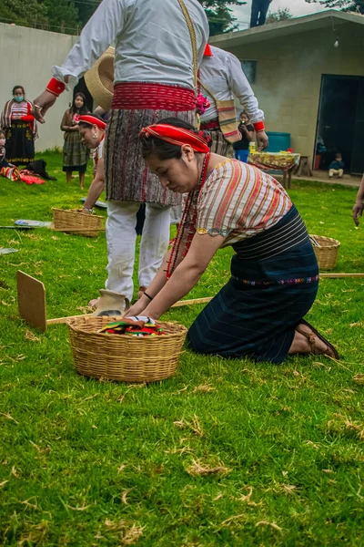 Mulher Maia Indígena Ajoelhando Com Cesta Creme Verde — Fotografia de Stock