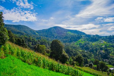 Güzel manzara, saf doğa ile dolu.