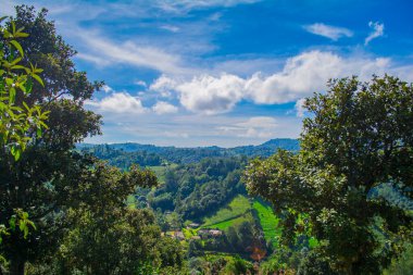 Beyaz bulutlu dağlarla vadide bir orman