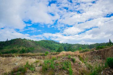Beyaz bulutlu dağlar ve yeşil orman
