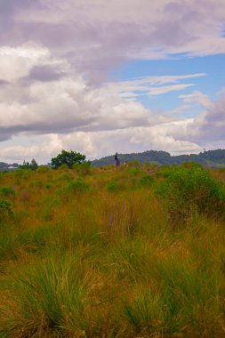 Beyaz bulutlu, mavi gökyüzü olan gün batımlı bir arazi.