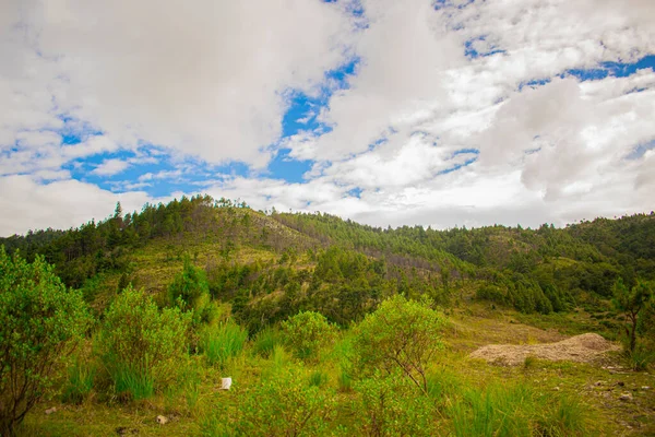 Paisagem Nuvem Com Céu Azul Montanhas Floresta Pinheiros — Fotografia de Stock