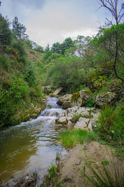 Vadide Yeşil Ağaçları Güzel Kayaları Olan Bir Nehir — Stok fotoğraf
