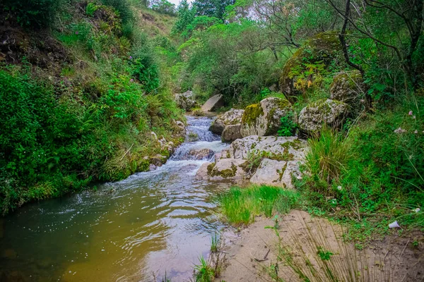 Красивая Река Большими Скалами Полными Мха Деревьями — стоковое фото