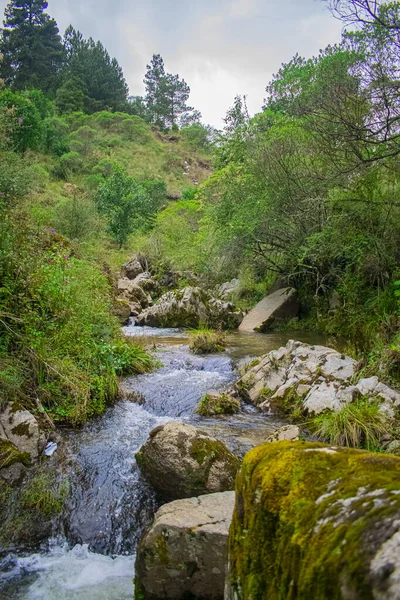 River Rum Große Felsen Mit Grünen Ästen Und Moos — Stockfoto