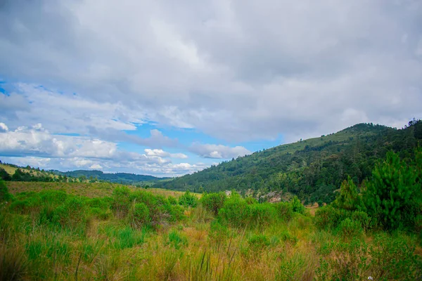 field with clouds and valley with green trees