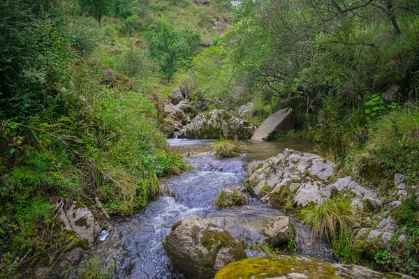 Rocas Con Grandes Árboles Selva Con Riverro —  Fotos de Stock