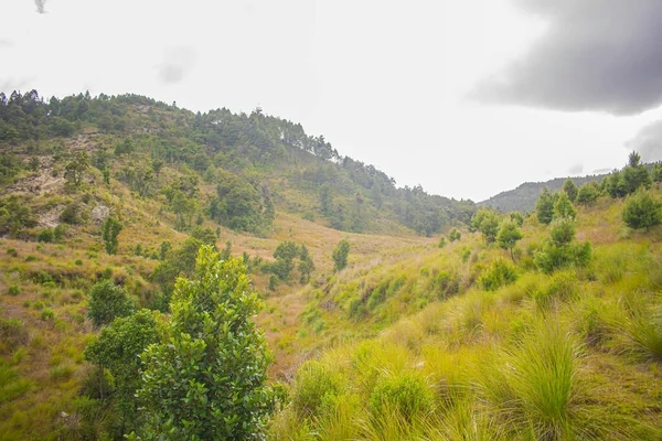 Valle Con Árboles Hermoso Con Nubes Paisaje Único — Foto de Stock