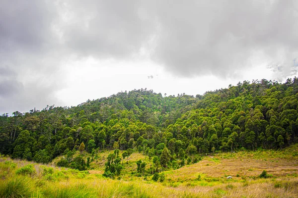 Paisagem Nuvem Com Floresta Verde — Fotografia de Stock