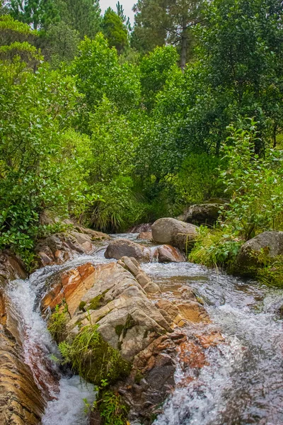 Velké Skály Zelenými Lesy Řekami Křišťálově Čisté Vody — Stock fotografie