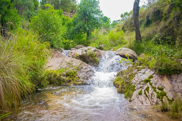 Hermoso Paisaje Fluvial Con Rocas Árboles Verdes — Foto de Stock
