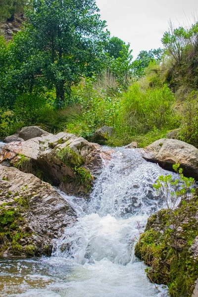 Fluss Zwischen Grauen Felsen Mit Grünen Bäumen — Stockfoto