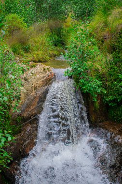 Büyük taşlı yeşil bitkilerle dolu nehirler