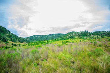 Uzak dağları olan kuru otlar ve hava bulutları