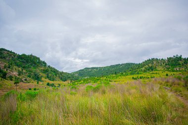 Yağmurlu hava bulutlarıyla güzel dağlar vadisi