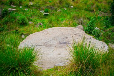 Doğal çayırlarda kuru otları olan büyük bir kaya.