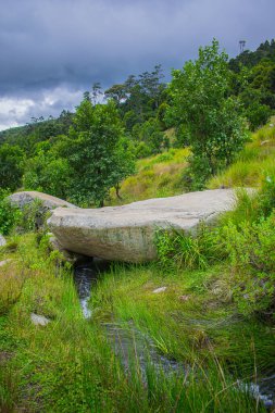 Nehirler ve bulutlu yeşil bitkiler arasında büyük bir kaya