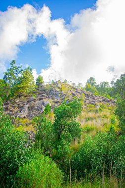 Gün batımına giden yolda güneş parlar ve kuru ördek