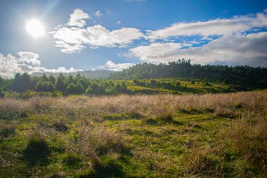 Ağaçlı güzel golf vadisi ve güneşli dağlar