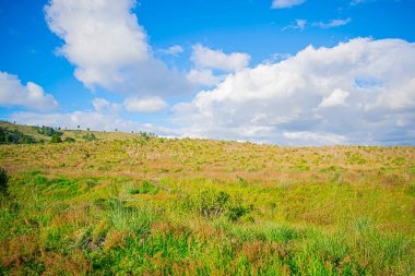 Beyaz bulutlu kuru çim tarlası ve güzel bir yer.