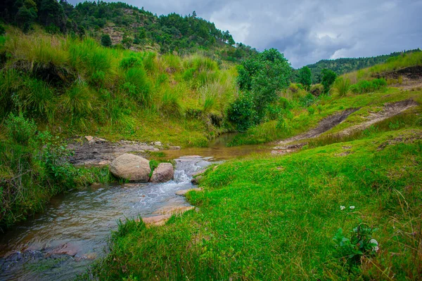 River Green Plants Rocks Mountains Background — Foto de Stock