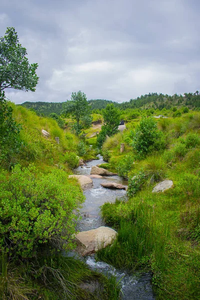 Fluss Zwischen Gras Und Felsen Schöne Landschaften Mit Wolken — Stockfoto