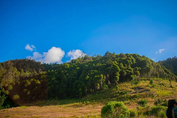 青い空の美しい緑のジャングルの山 — ストック写真