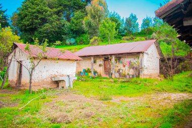 Ormanın kenarında güzel cepheli şirin kerpiç evleri.