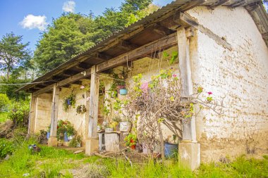 güzel çiçeklerle çevrili, ahşap ve güzel bir arka planı olan bir ev.