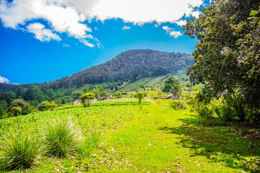 Bulutlu mavi gökyüzü olan yeşil dağların şirin kartpostalları.