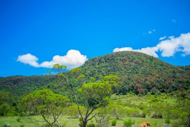 Güzel dağlar manzaranın bir parçasını oluşturuyor.