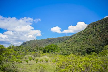 Güzel renkler oluşturan saf doğayla çevrili güzel bir manzara.