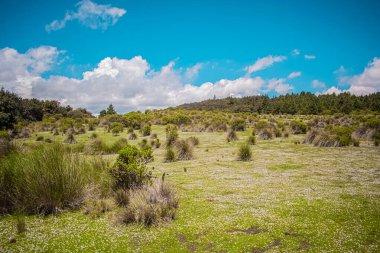 Dağların etrafında çimenler ve güzel bir gökyüzü olan güzel kuru bir tarla.