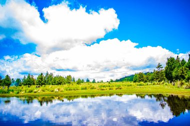 Ağaçlı güzel bir manzara ve gölde yansıyan güzel bir gökyüzü.