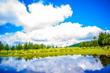 Arka planda ağaçlarla çevrili bir vadi. Etrafında yürüyen insanlar var.