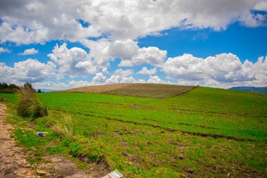 Güzel manzara, yanında güzel mavi gökyüzü olan yeşil renkler.