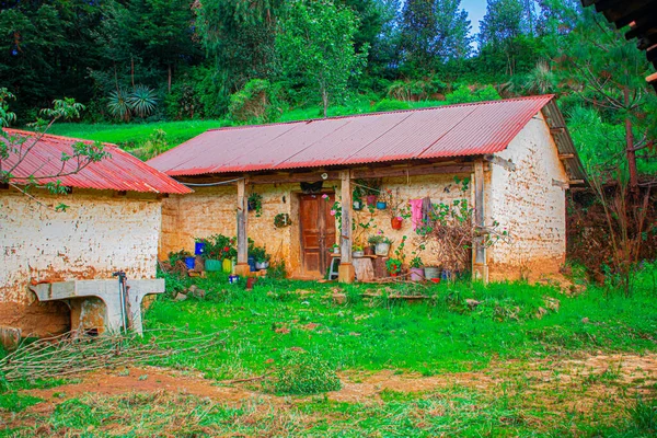 Bela Casa Adobe Redor Floresta Com Belo Fundo — Fotografia de Stock