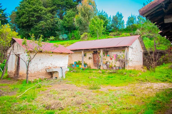 Ormanın kenarında güzel cepheli şirin kerpiç evleri.
