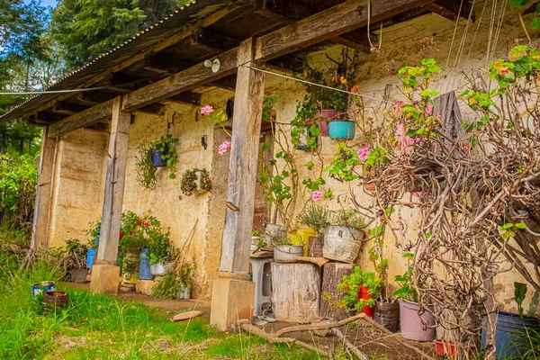 Ormanda güzel küçük bir ev var. Etrafında güzel çiçekler ve güzel bir manzara.