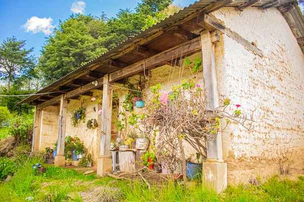 güzel çiçeklerle çevrili, ahşap ve güzel bir arka planı olan bir ev.