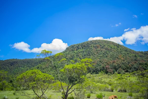 Güzel dağlar manzaranın bir parçasını oluşturuyor.