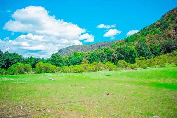 Belle Vallée Avec Grands Arbres Autour Ciel Bleu — Photo