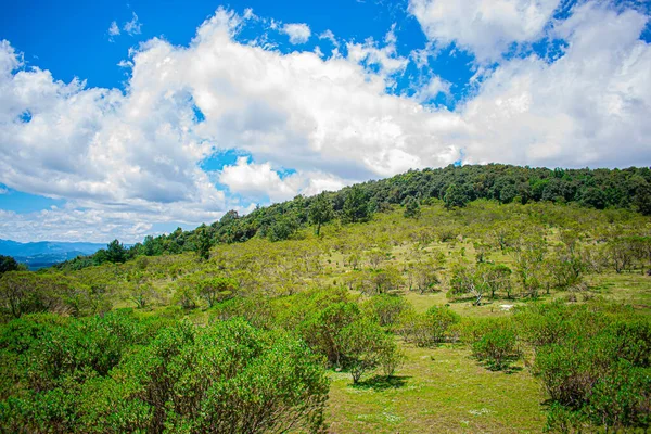 Beau Paysage Entouré Arbres Sommet Avec Beau Paysage — Photo