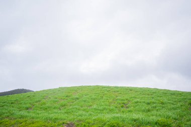 Gökyüzü bulutlu, güzel yeşil bir arazi.