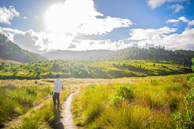 Yeşil çimenlerin üzerinde vadiyle yürüyen genç adam