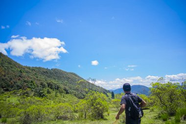 Genç ağaçlarla çevrili yeşil dağlar ve bulutlu berrak bir gökyüzü.