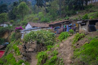 Dağın eteklerinde çiçekler olan beyaz kerpiç evleri..