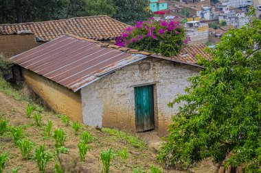 Yolun kenarındaki kerpiç evi. Etrafında eski çiçekler var..