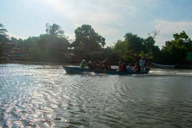 Sahilde büyük palmiye ağaçları ve arka planda mavi bir gökyüzü insanlar bir teknede