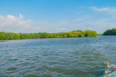 Nehir manzaraları ve ormanlar uzaktan